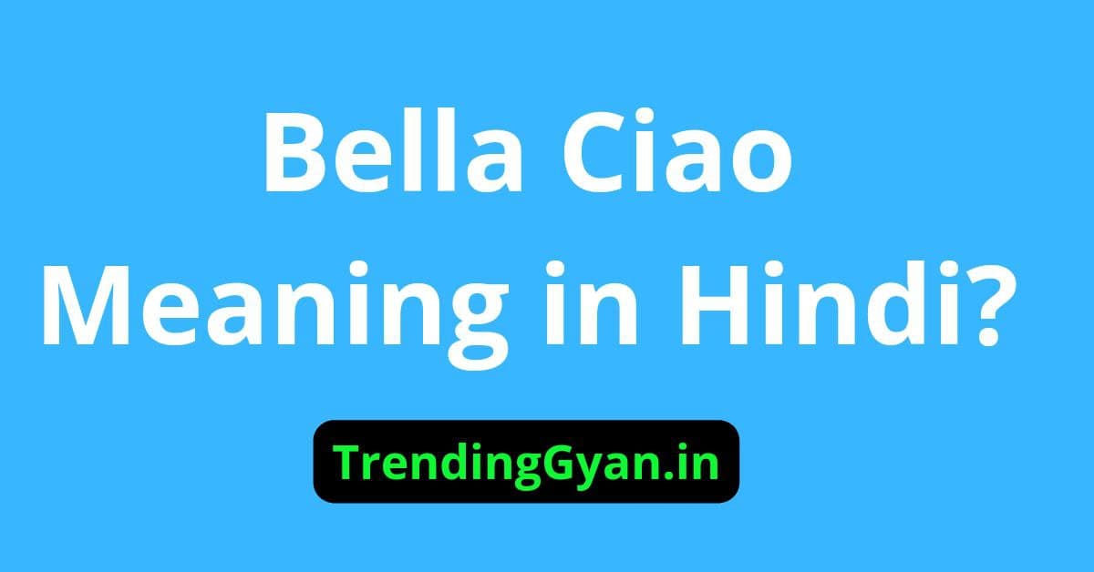 Bella Ciao Meaning in Hindi | Money Heist Bella Ciao Meaning in Hindi