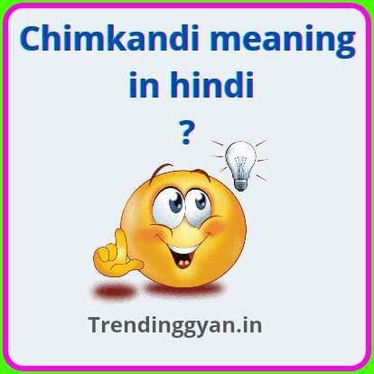 Chimkandi Meaning in Hindi | चिमकंदी शब्द का मतलब क्या है