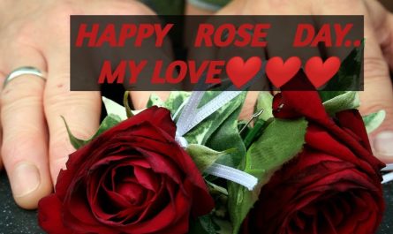 Happy rose day my love