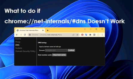 chorme //net-internals/#dns