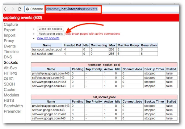 chorme //net-internals/#dns